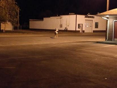 Greybull Yellowstone Motel מראה חיצוני תמונה